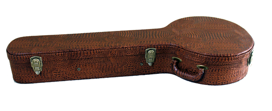 Multitriplex 3mm Hardshell-Banjogeval met het Binnenlandse Schuim Opvullen